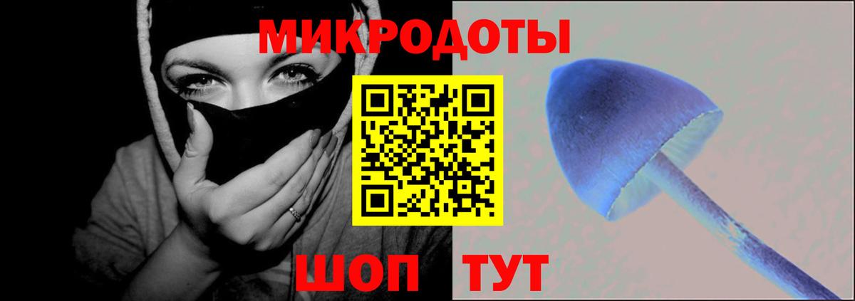 Псилоцибиновые грибы GOLDEN TEACHER Глазов